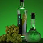 Pisco