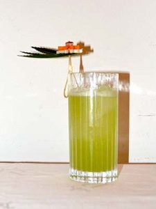 Quercus - Cocktail AGABA